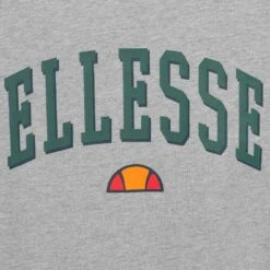 Ellesse Alloui Femmes T-shirt Oversize SGP16699-112 -Coton Ligne Boutique SGP16699 112 4 1280x1280